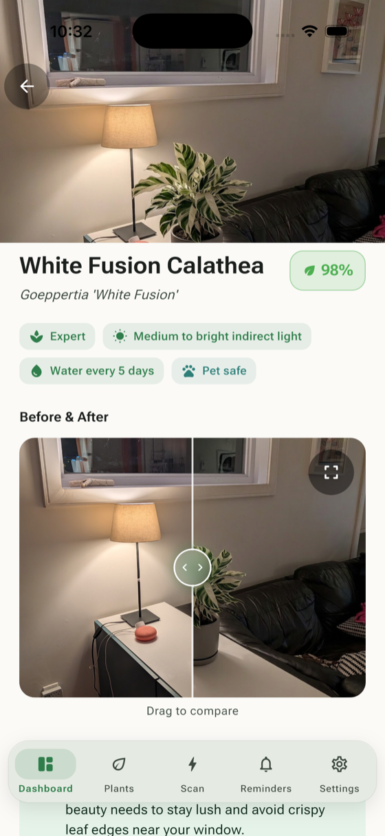 AR plant visualizer showing plant placement preview