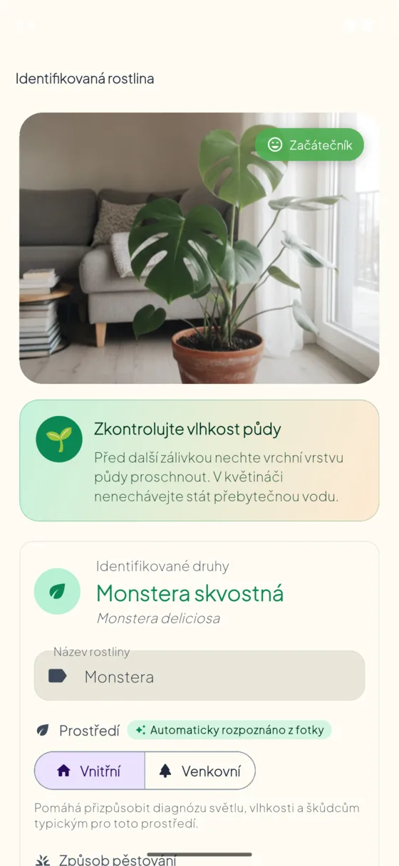 Plant species identification result