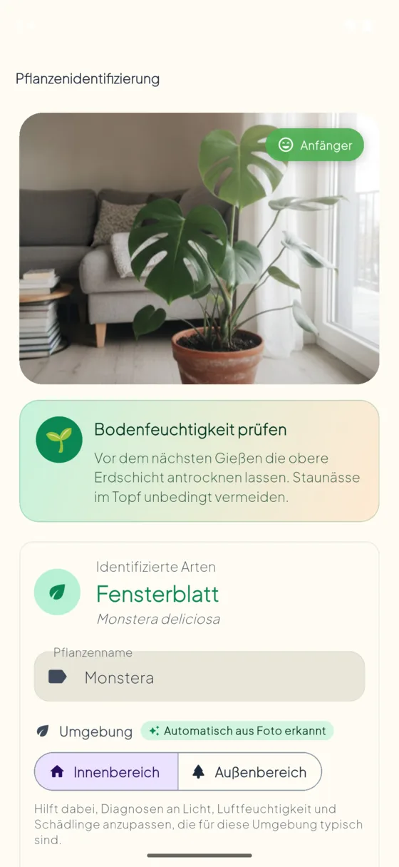 Plant species identification result