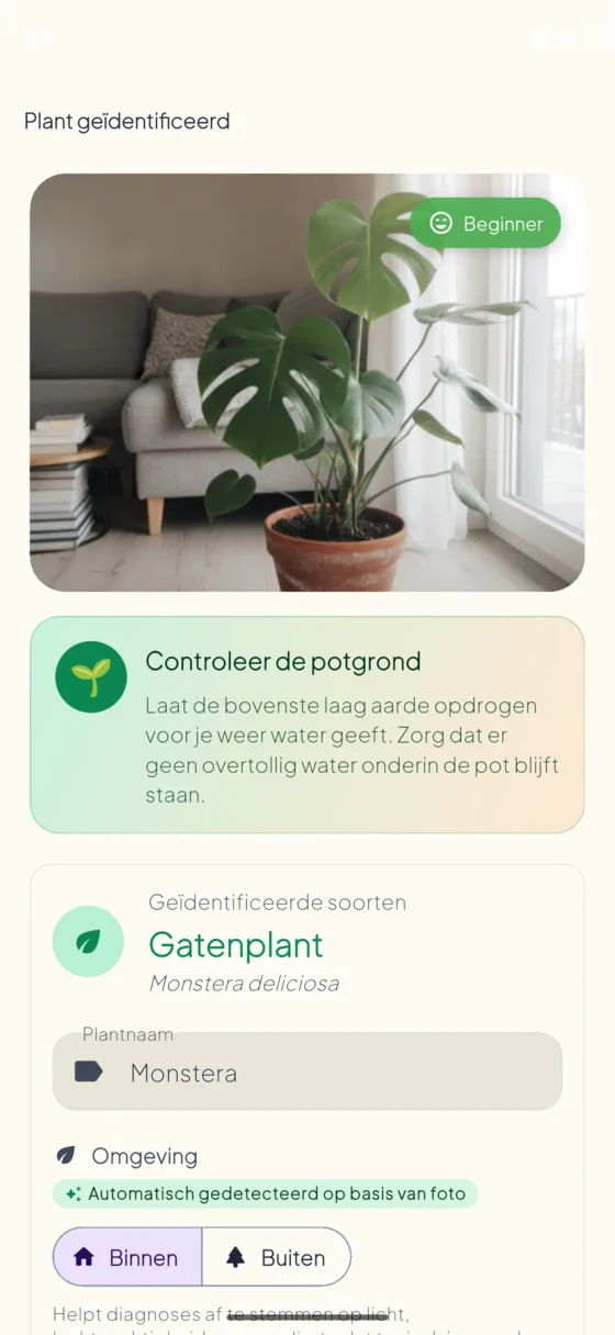 Plant species identification result