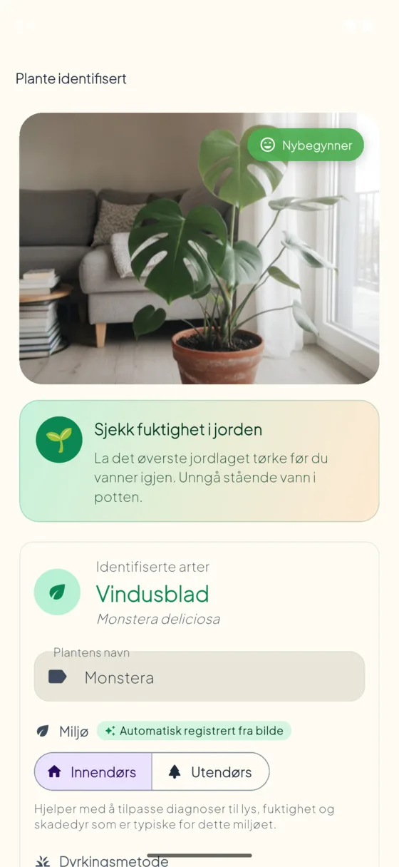 Plant species identification result