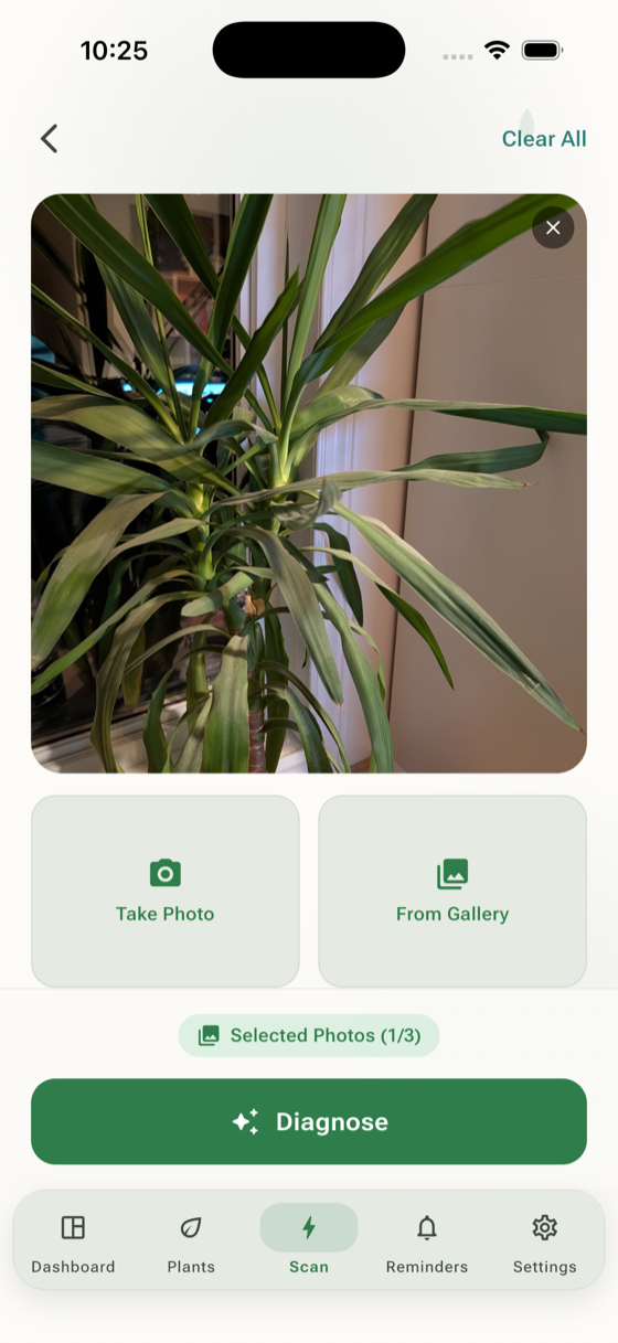 Photo preview screen before submitting for diagnosis
