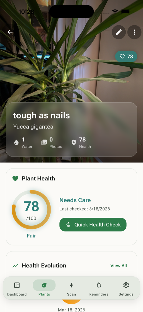 Plant health diagnosis with score and analysis